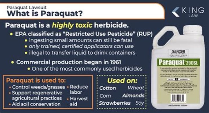 How does paraquat kill you?