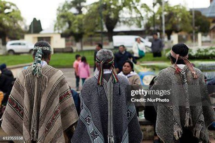 How many mapuche communities are there?