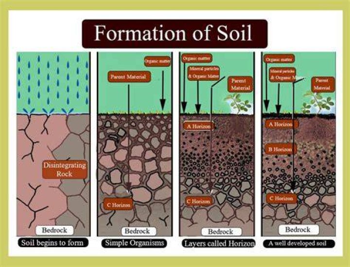 How soil is formed short answer?