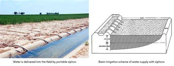 What is basin system in irrigation?