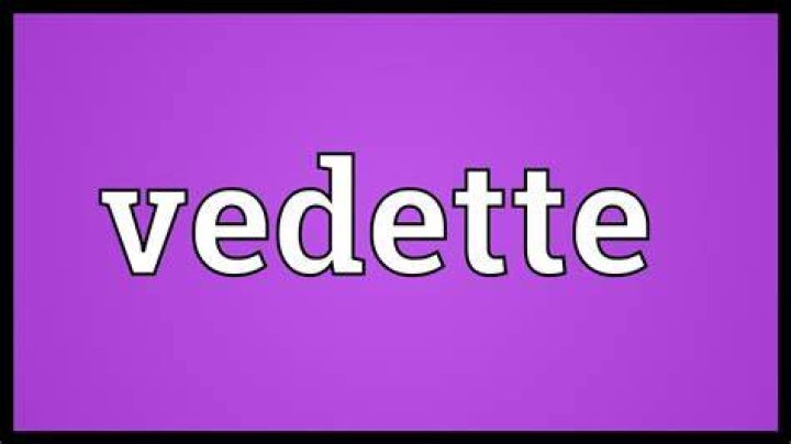 Whats the meaning of vedette?