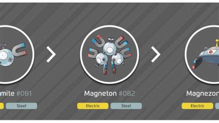 Where does magneton evolve?