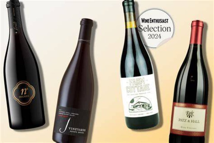 Why pinot noir is the best?