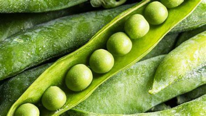 Will fish eat green peas?